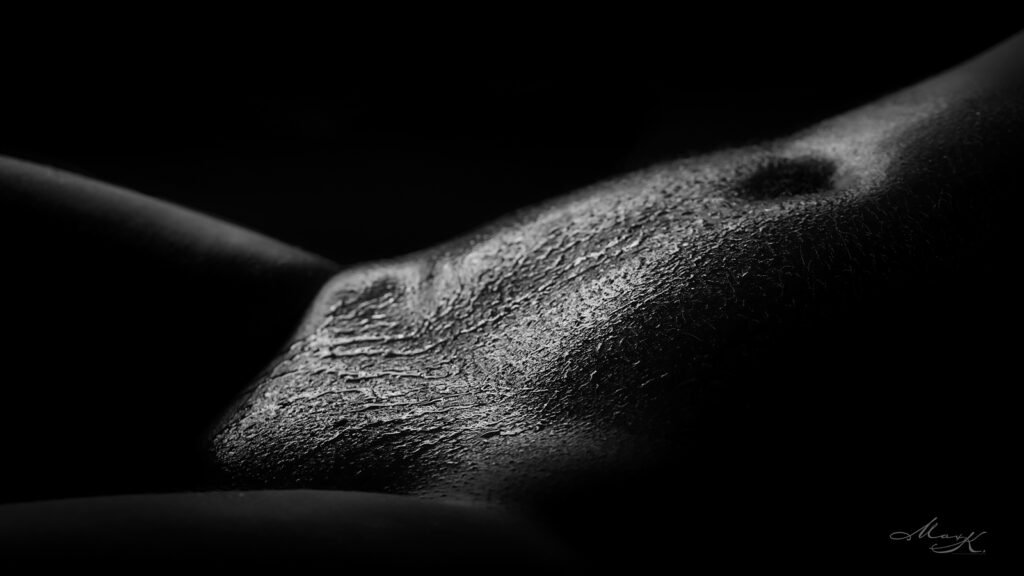 HELENA BW 14